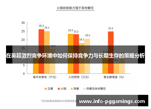 在英超激烈竞争环境中如何保持竞争力与长期生存的策略分析