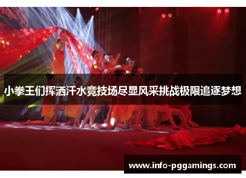 小拳王们挥洒汗水竞技场尽显风采挑战极限追逐梦想