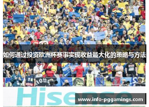 如何通过投资欧洲杯赛事实现收益最大化的策略与方法