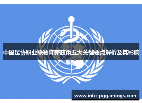 中国足协职业联赛降薪政策五大关键要点解析及其影响