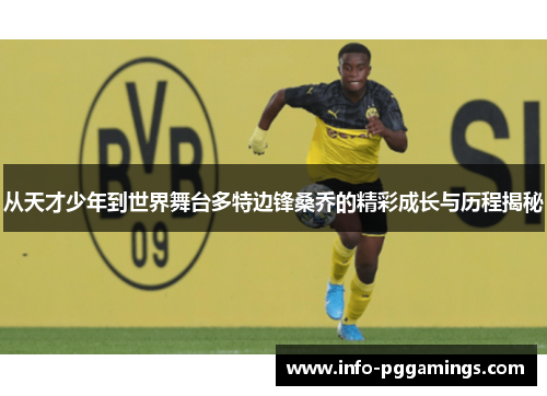 从天才少年到世界舞台多特边锋桑乔的精彩成长与历程揭秘