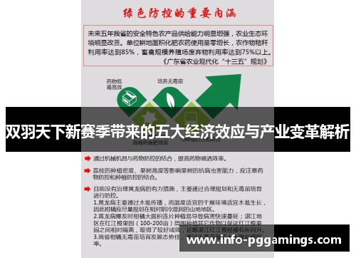 双羽天下新赛季带来的五大经济效应与产业变革解析
