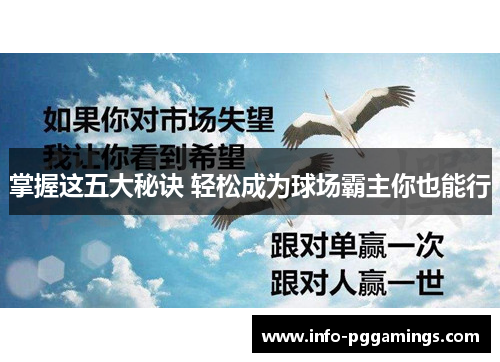 掌握这五大秘诀 轻松成为球场霸主你也能行