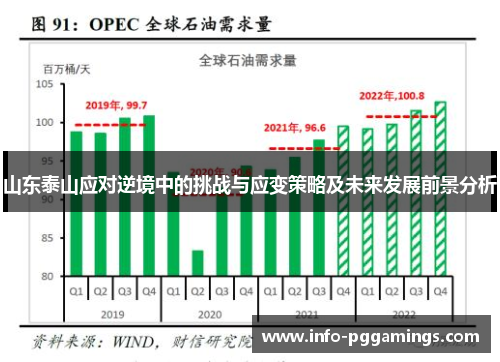 山东泰山应对逆境中的挑战与应变策略及未来发展前景分析