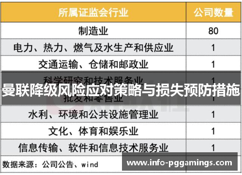 曼联降级风险应对策略与损失预防措施