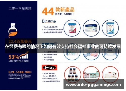 在经费有限的情况下如何有效支持社会福祉事业的可持续发展