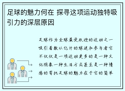 足球的魅力何在 探寻这项运动独特吸引力的深层原因
