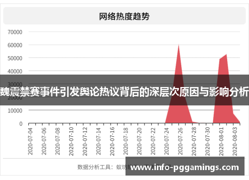 魏震禁赛事件引发舆论热议背后的深层次原因与影响分析