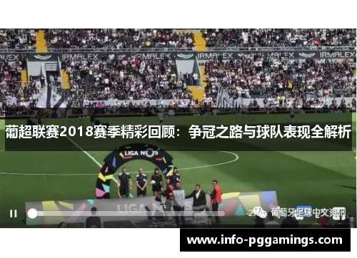 葡超联赛2018赛季精彩回顾：争冠之路与球队表现全解析