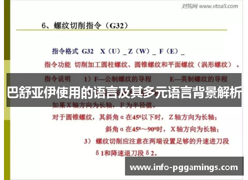 巴舒亚伊使用的语言及其多元语言背景解析 巴舒亚伊使用的语言及其多元语言背景解析