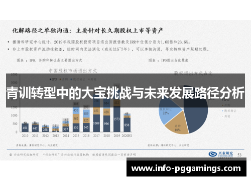 青训转型中的大宝挑战与未来发展路径分析 青训转型中的大宝挑战与未来发展路径分析