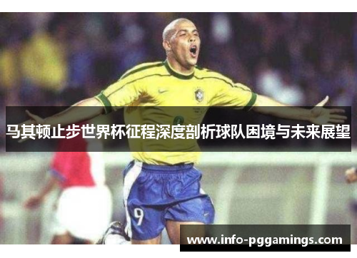 马其顿止步世界杯征程深度剖析球队困境与未来展望