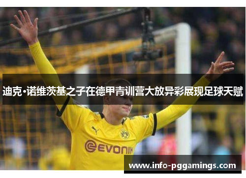 迪克·诺维茨基之子在德甲青训营大放异彩展现足球天赋